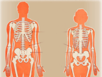 Men and Women: The Whats and Whys Behind our Main&nbsp;Differences